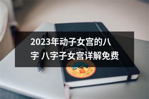 <h3>2023年动子女宫的八字八字子女宫详解免费