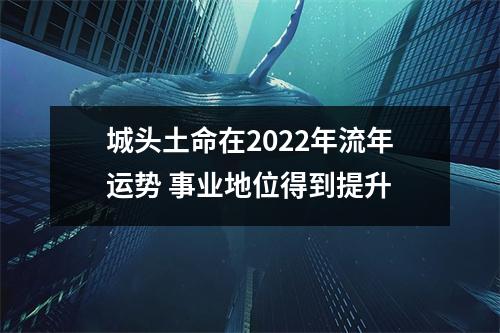 <h3>城头土命在2025年流年运势事业地位得到提升