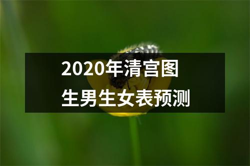 <h3>2020年清宫图生男生女表预测