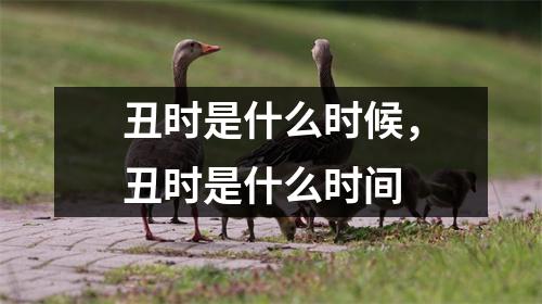 <h3>丑时是什么时候，丑时是什么时间