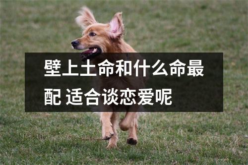 <h3>壁上土命和什么命配适合谈恋爱呢